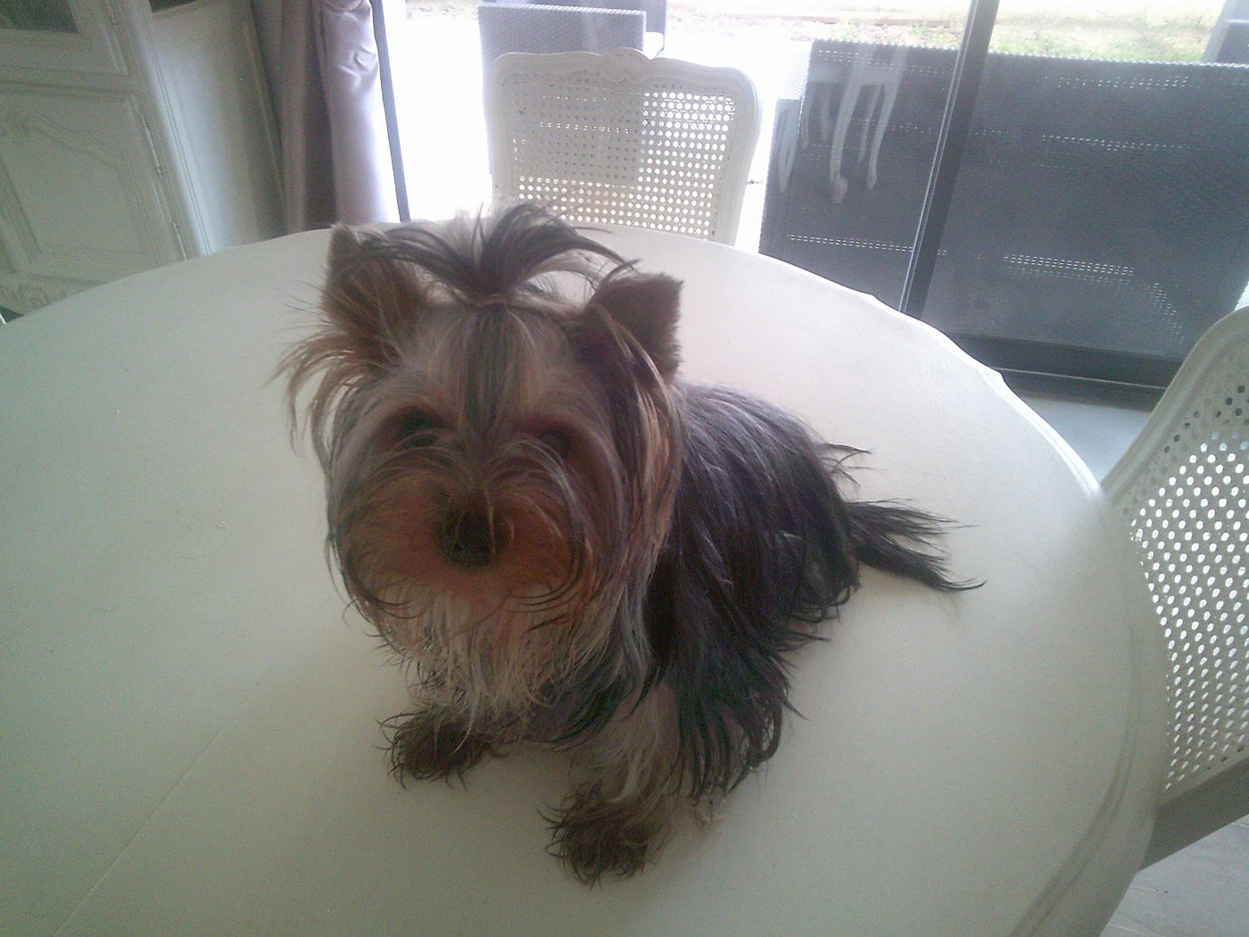 (Sans Affixe) mad square g